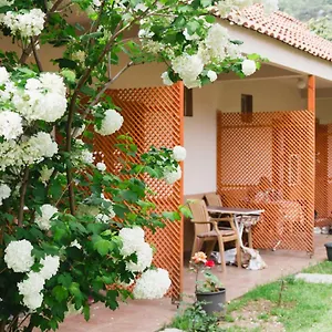 Village Garden Проживание в семье